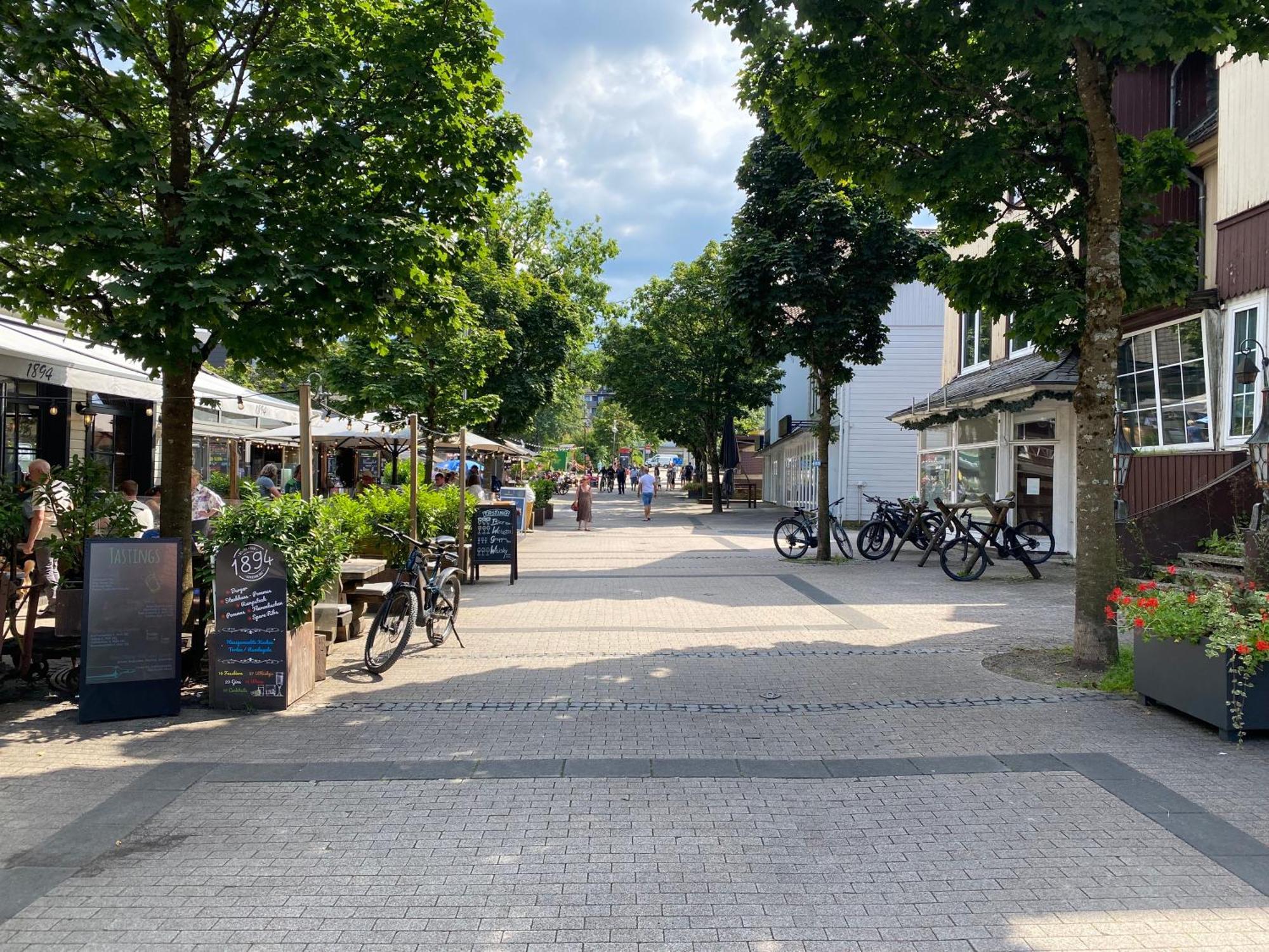 Fewo-Hahnenklee Goslar Exterior foto